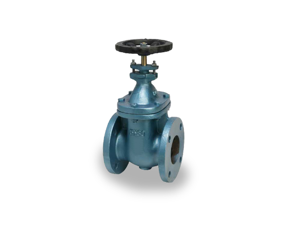 Flange Gate Valve -- BA-0-3-1-H