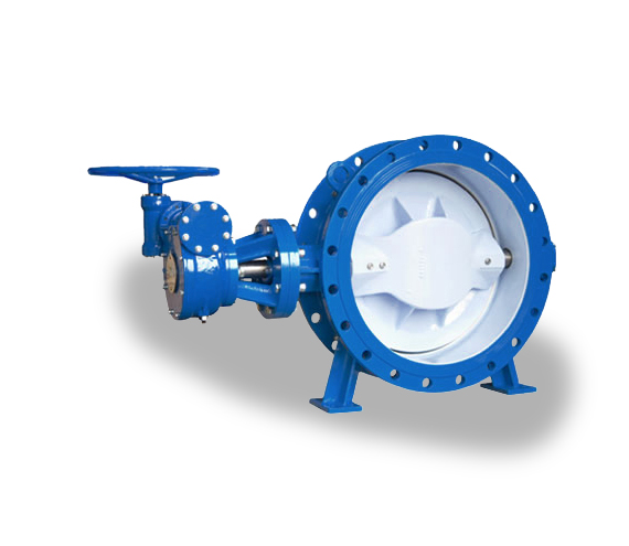 Double Eccentric Butterfly Valve -- CG-1-3-2-X-Q